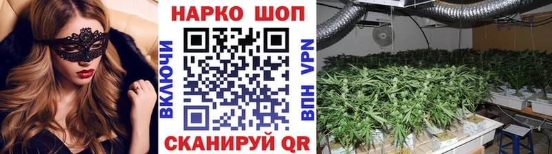 Купить наркотик Кинешма Марихуана  Alpha PVP  Меф  Псилоцибиновые грибы  Cocaine 
