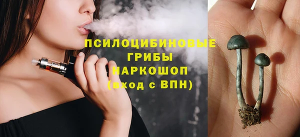 стафф Абаза