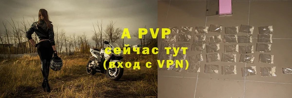 стафф Абаза