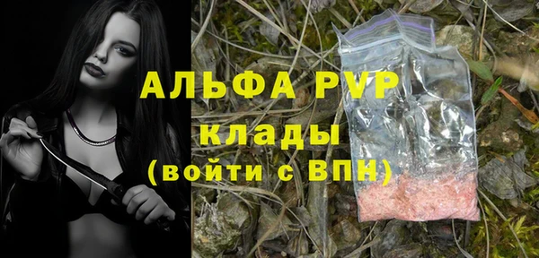 стафф Абаза