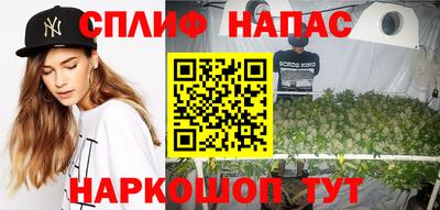 крисы Долгопрудный